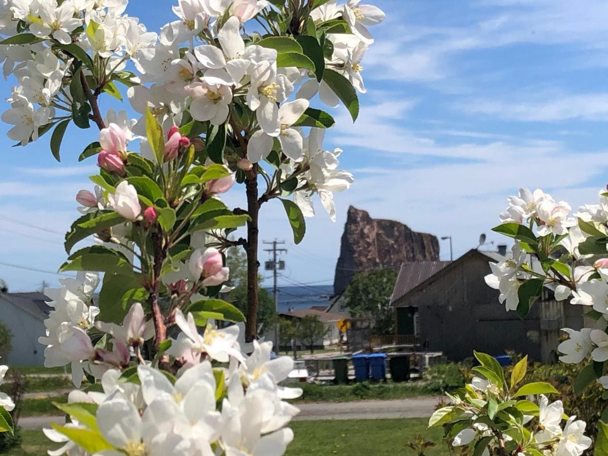 Motel Le Repos Perce Exteriér fotografie