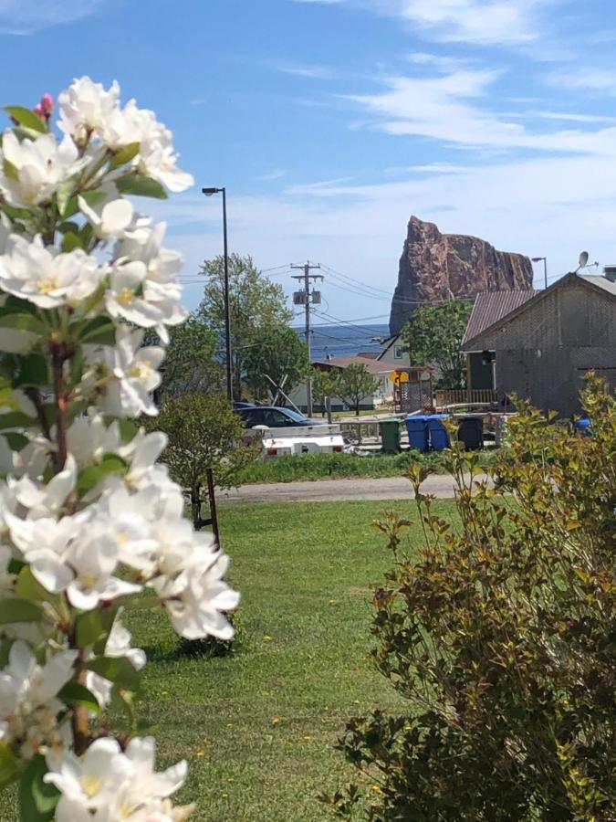 Motel Le Repos Perce Exteriér fotografie